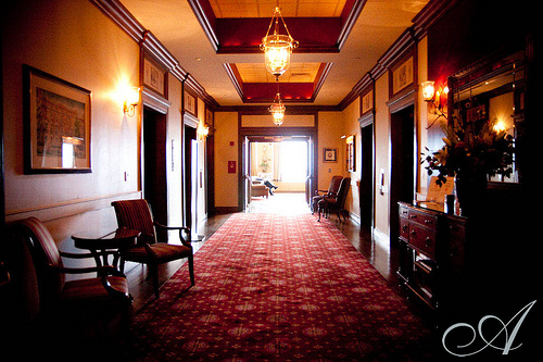 3497291807_313371fa0a