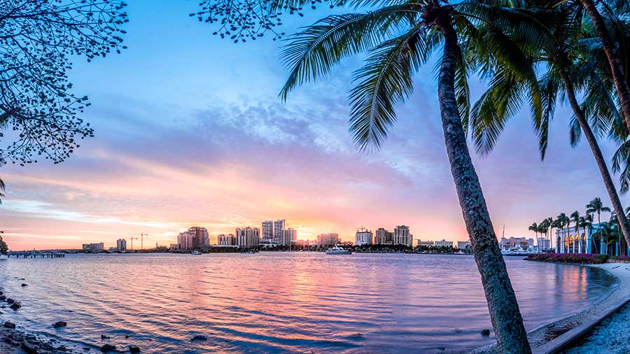 West Palm beach skyline with Palm in foreground